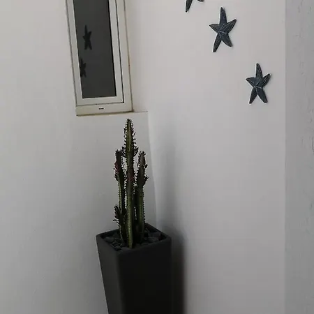 Estrella De Mar *