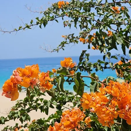 Estrella De Mar Apartment Tarajalejo