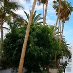 דירה Estrella De Mar טרחלחו