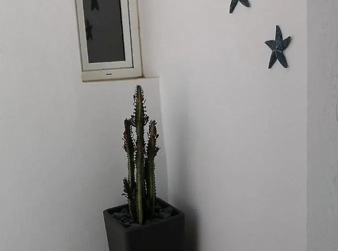 Estrella De Mar *